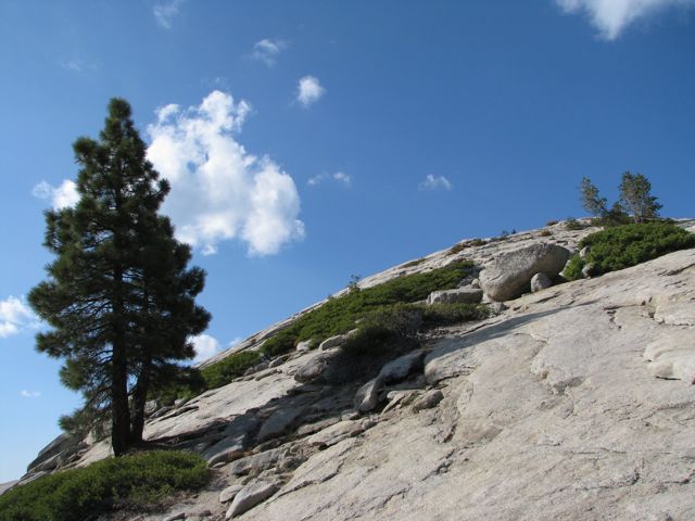 Sentinel Dome