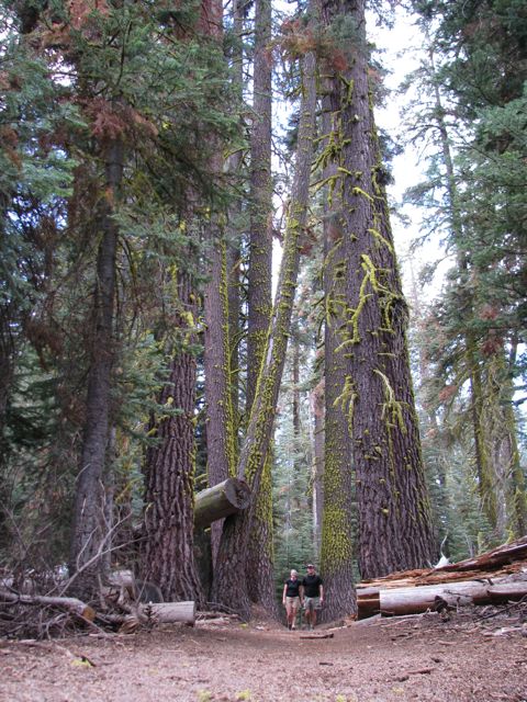 Sentinel to Taft Point hike