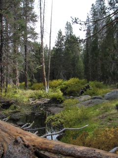 Bridalveil Creek