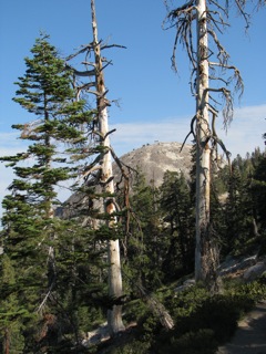 Sentinel Dome