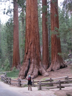 The Bachelor and Three Graces